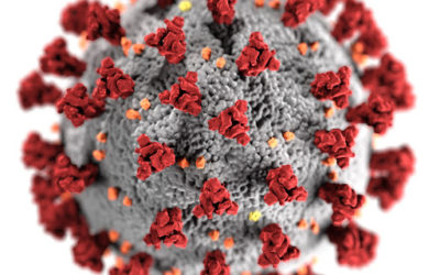 Cuidados del cepillo dental en tiempos de Coronavirus